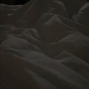 Meet your Posher, Mickey